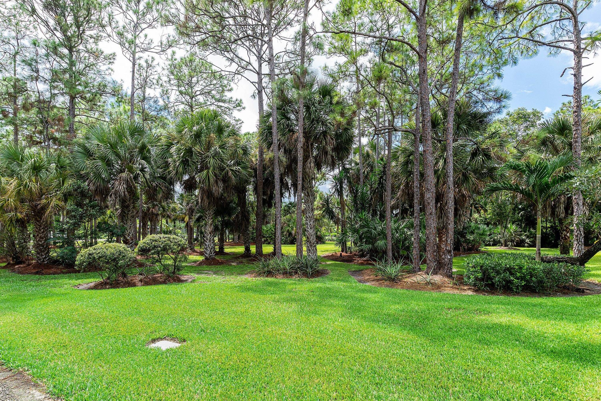 The Acreage - Residential
