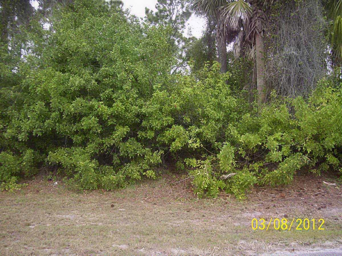 Beautiful lot located just minutes from St Lucie West, Tradition and I95. Close to Shopping and Restaurants. The adjacent lot RX-104000269 also for sale which will provide a spacious half acre to build your dream home. Priced to SELL Don't miss out.