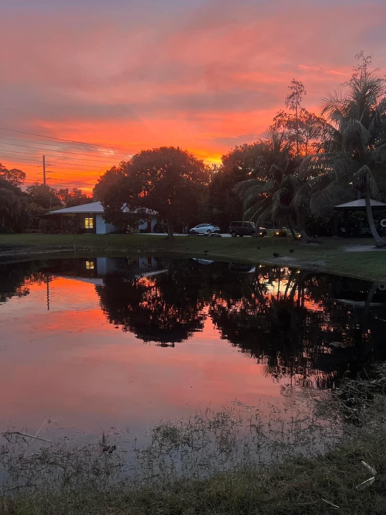 PALM BEACH FARMS CO PL - Residential