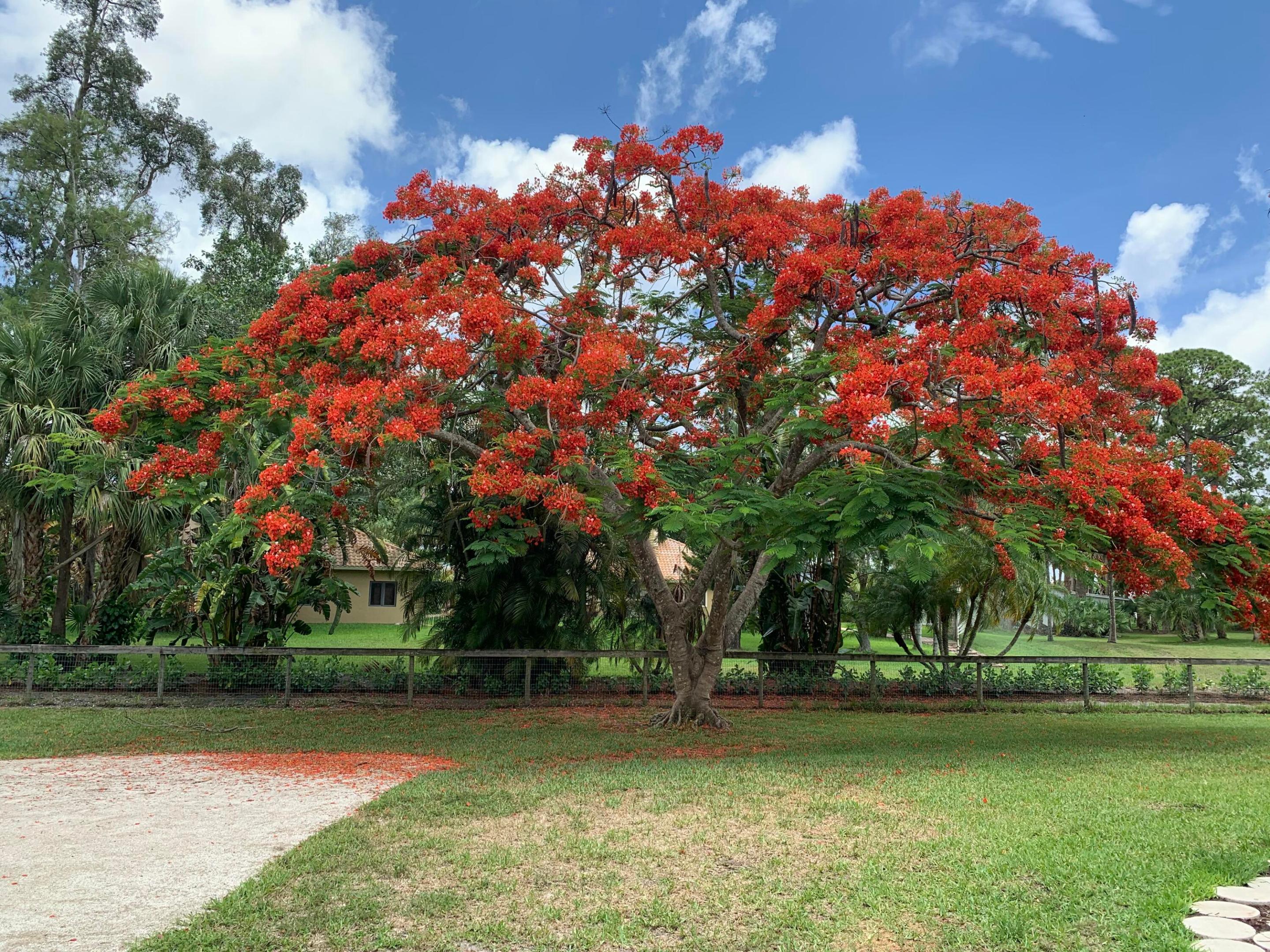 PALM BEACH FARMS CO PL - Residential