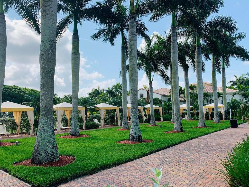 OLYMPIA 1 - Residential