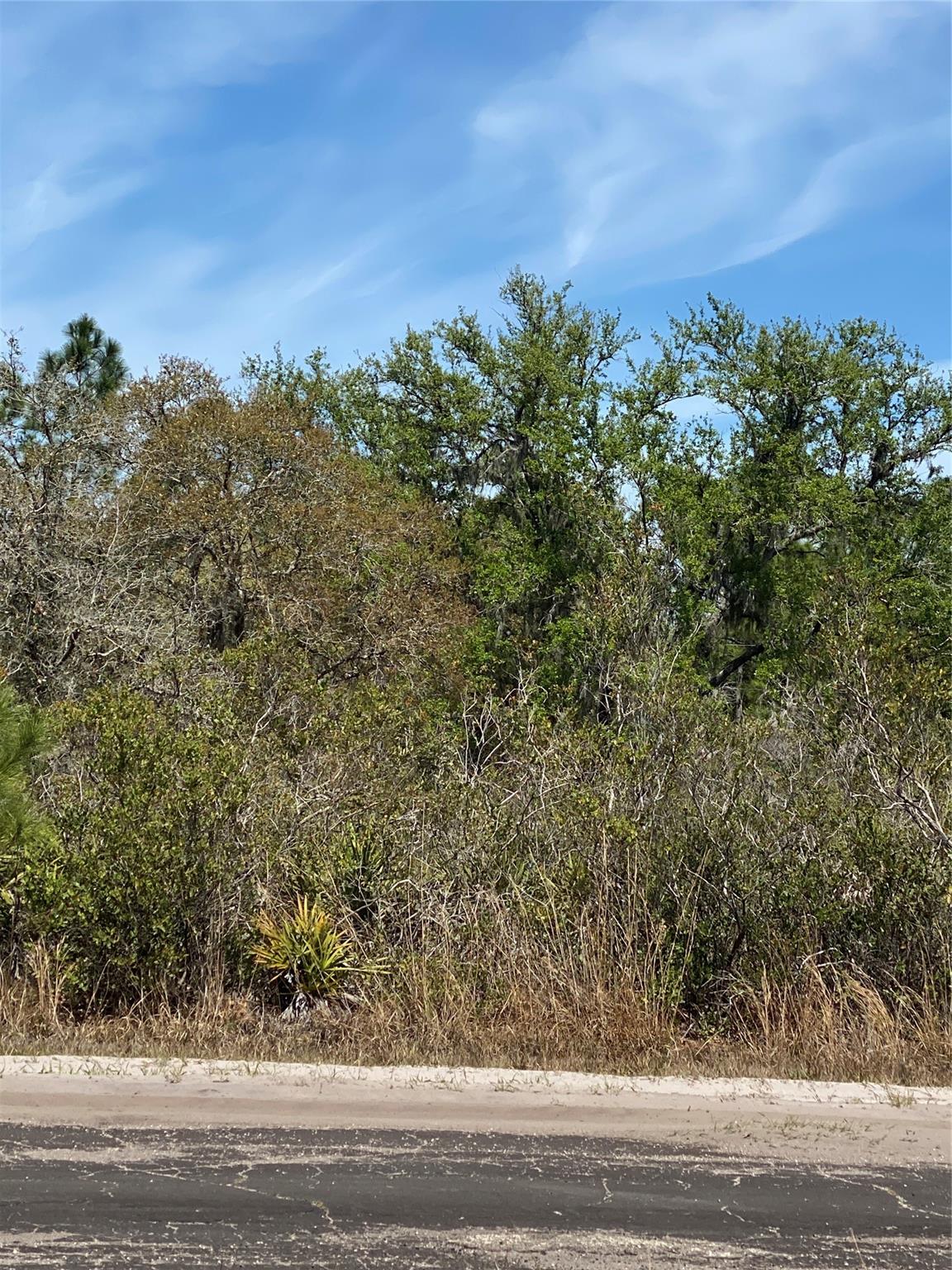 Lot 12 Blk 234 Palm Ave