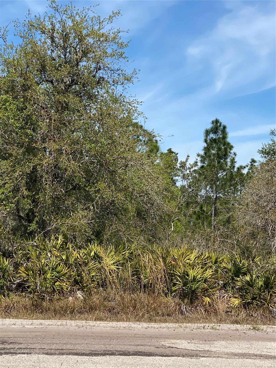 Lot 12 Blk 234 Palm Ave