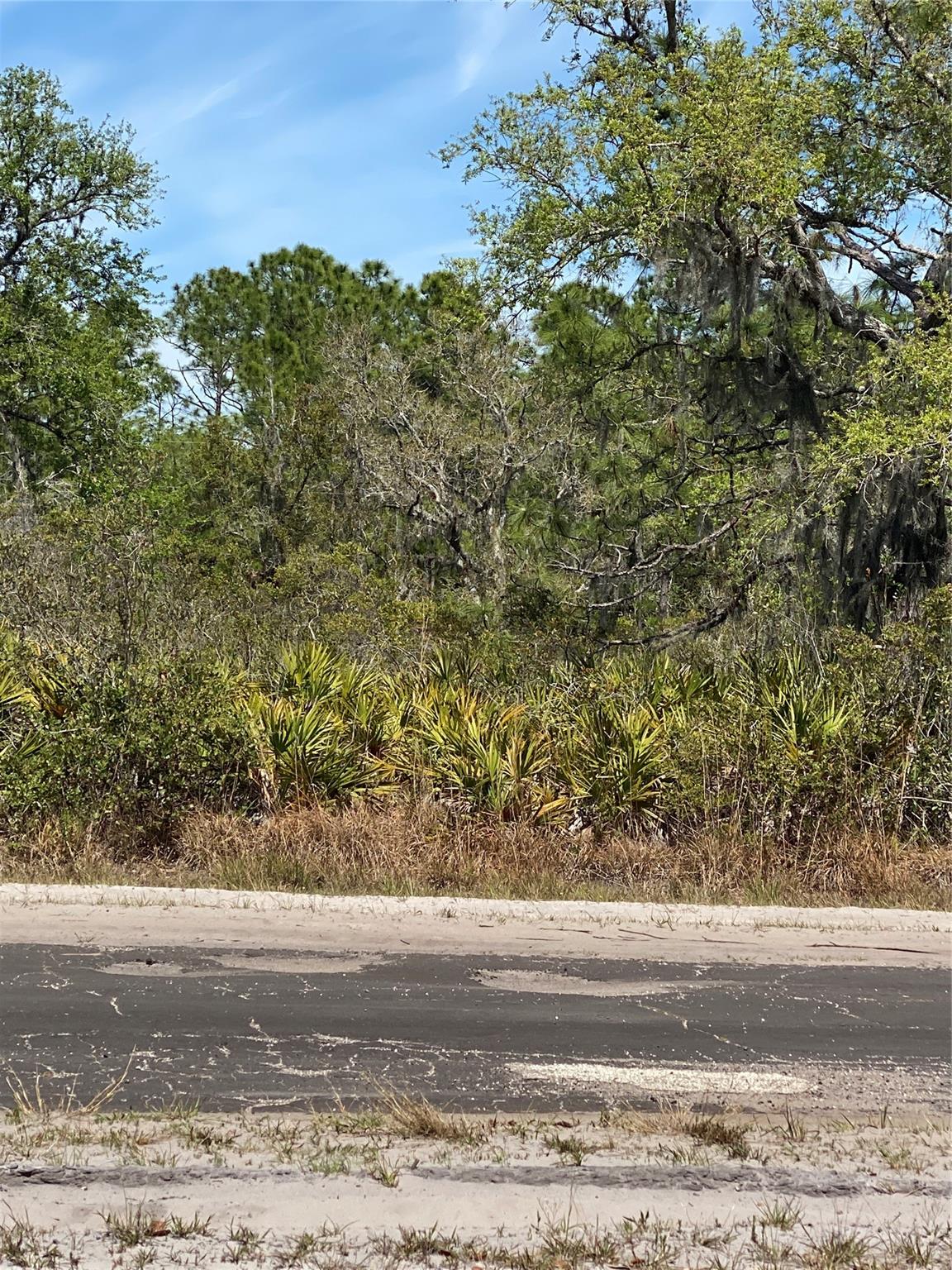 Lot 12 Blk 234 Palm Ave