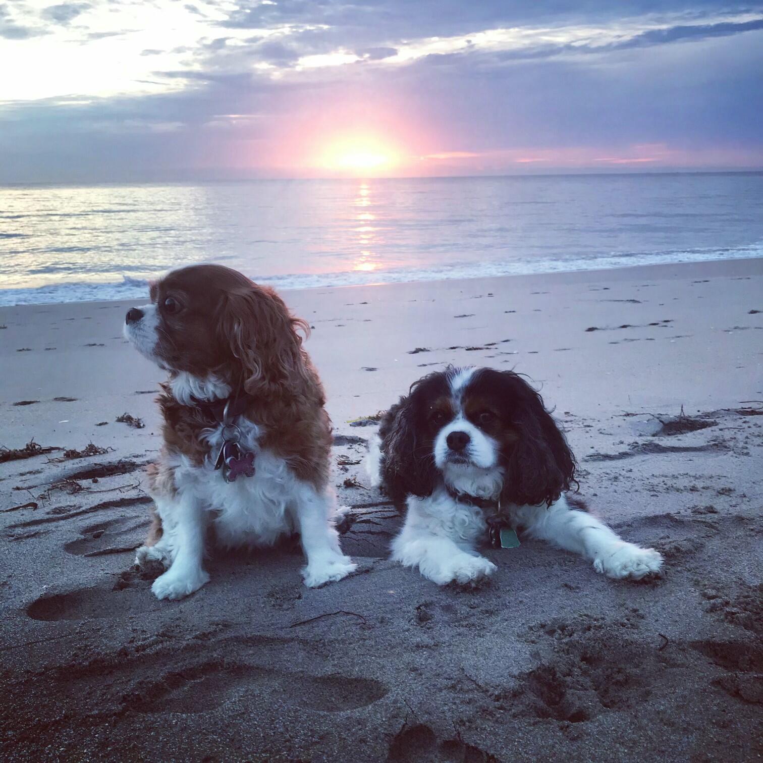 Bermuda Beach House - Residential Lease