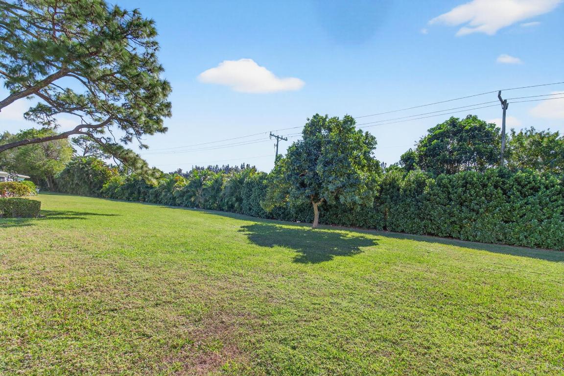 BRIDGEVIEW - Residential