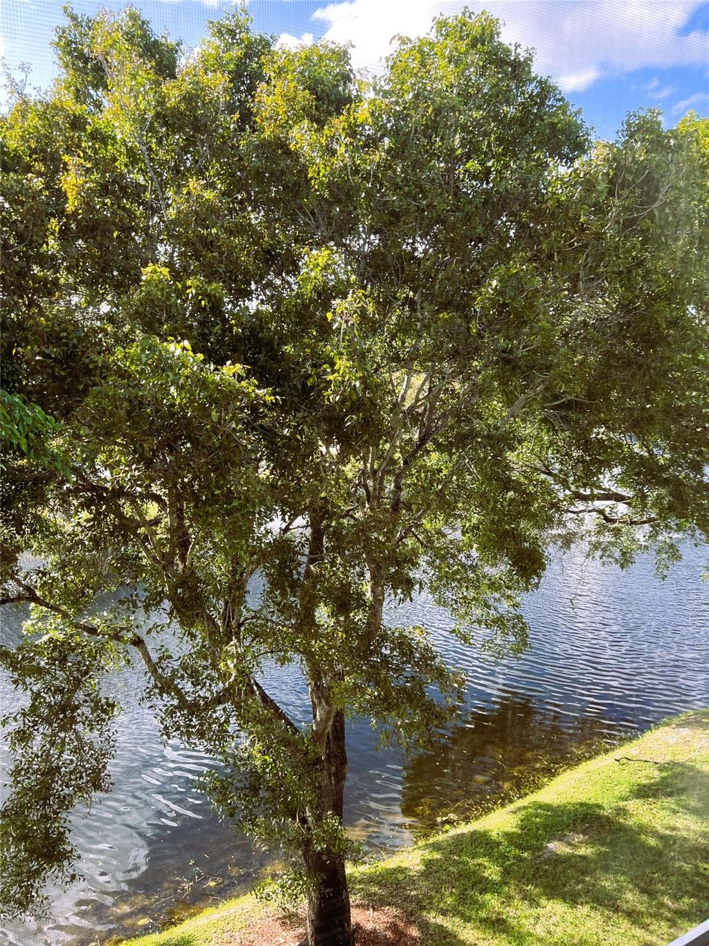 Photo of 2005 Granada Drive #C-4, Coconut Creek, FL 33066 (MLS # F10407758)