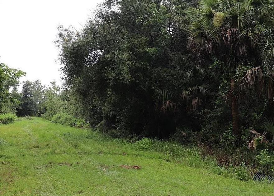 Beautiful wooded 1.25 acre property in Okeechobee. Hunt, camp, ride and build your dream home. No neighbors, very quiet street.