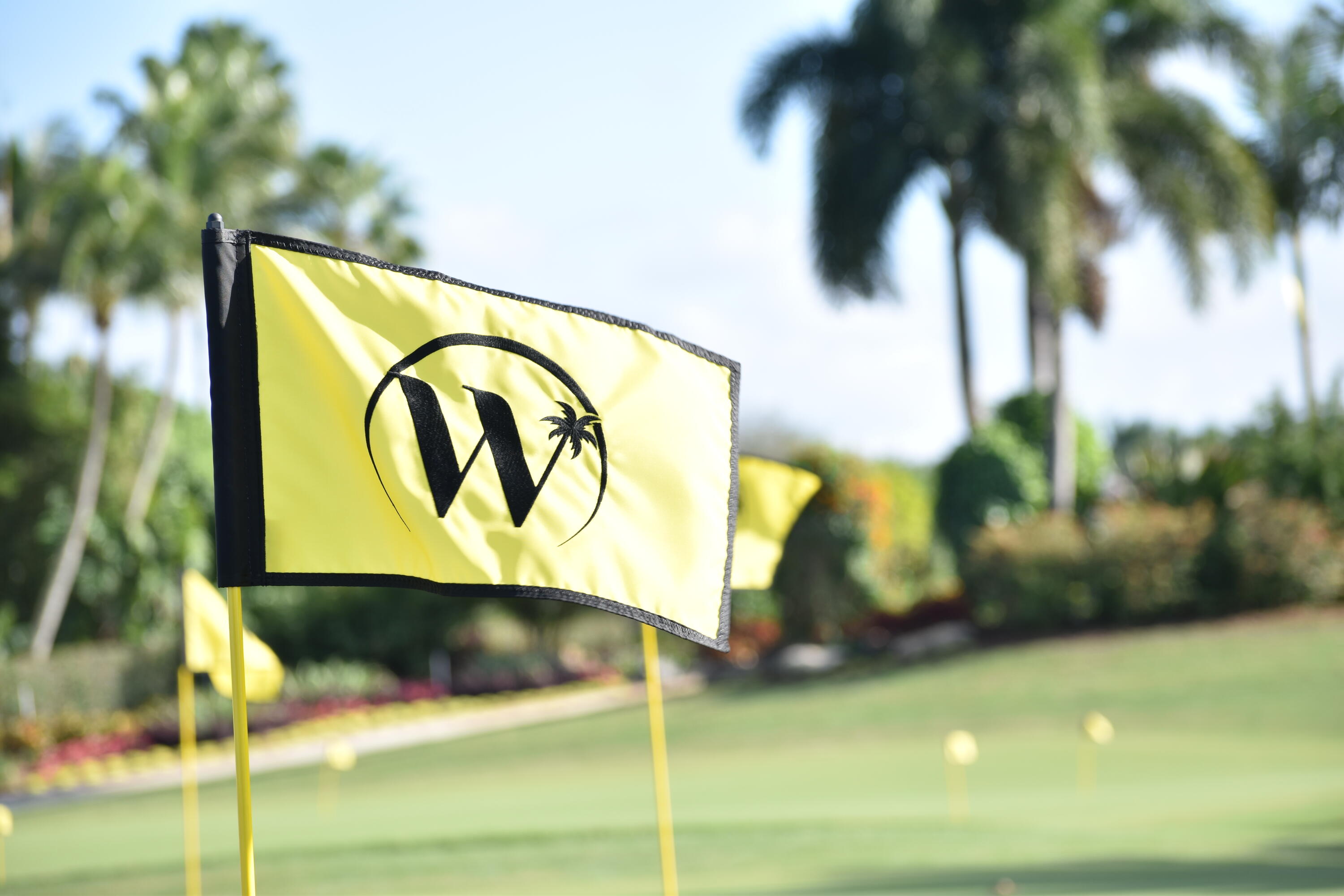 REGENTS SQUARE OF WOODFIELD CC - Residential