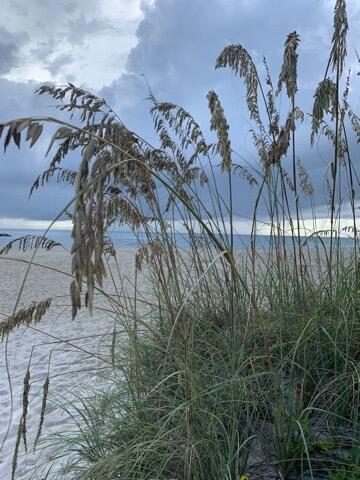 COLONNADES CONDOMINIUM - Residential