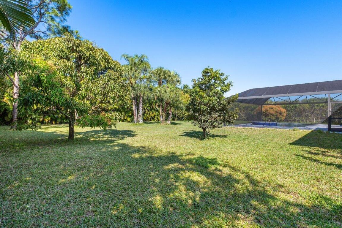 STEEPLECHASE - Residential