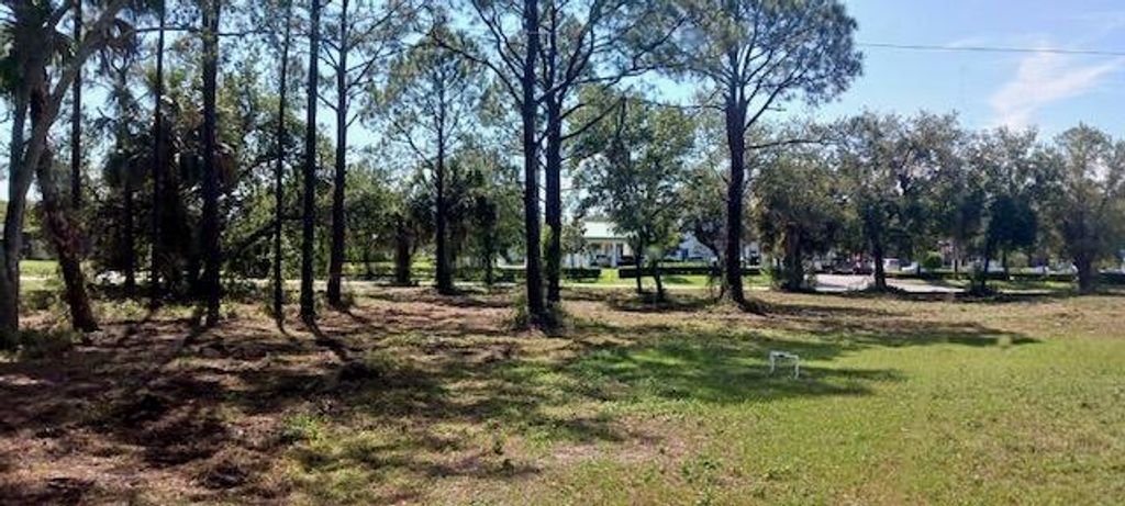 Photo of 421 SW Peach Street, Port Saint Lucie, FL 34983 (MLS # R10917321)