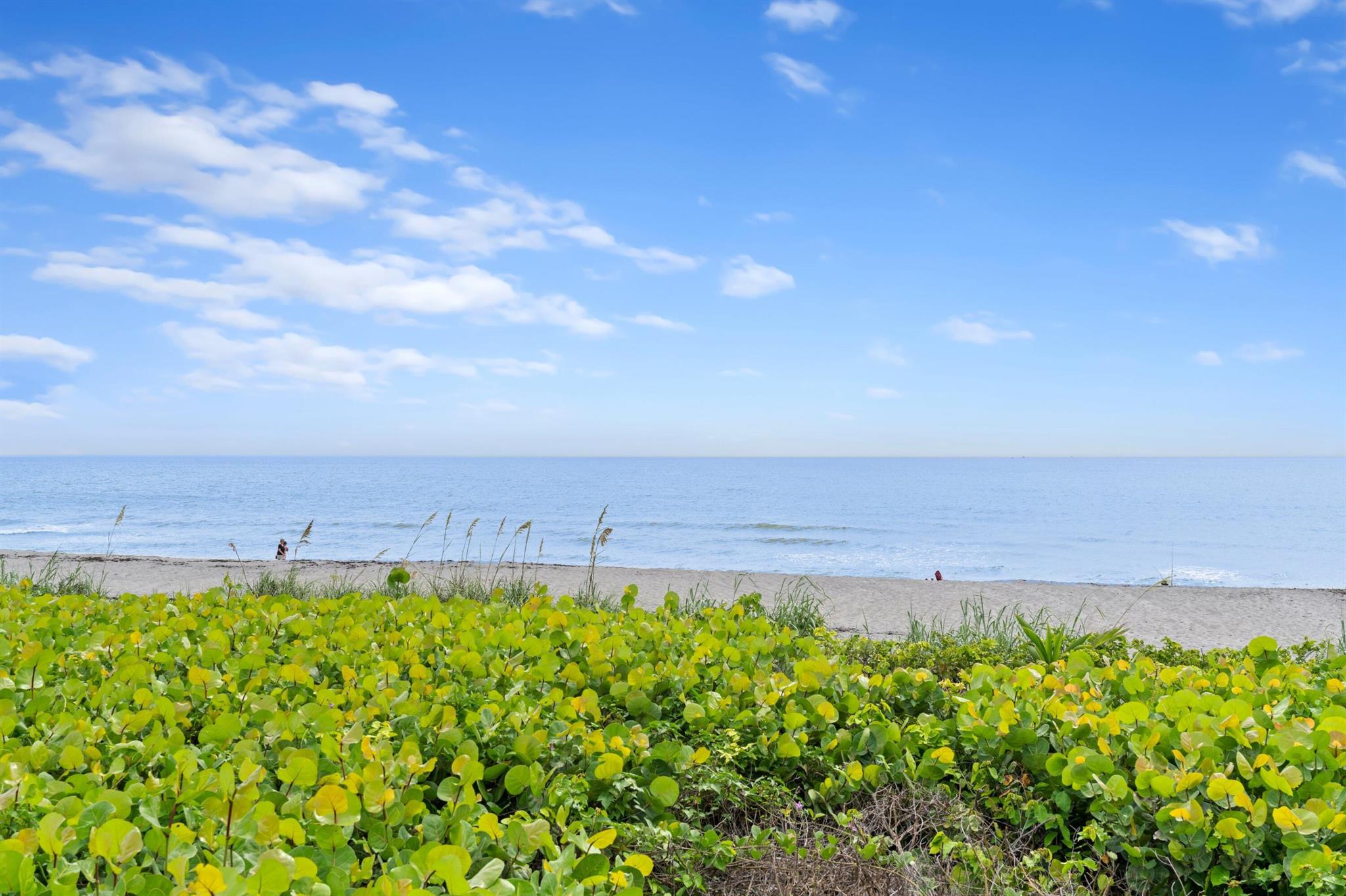 JUNO DUNES - Residential