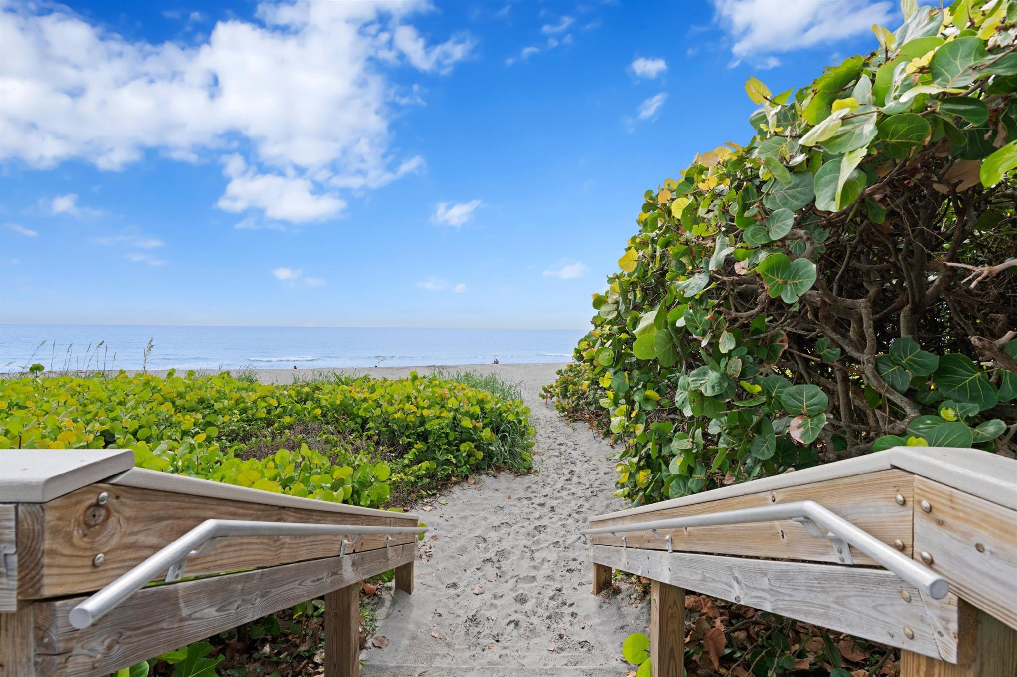 JUNO DUNES - Residential