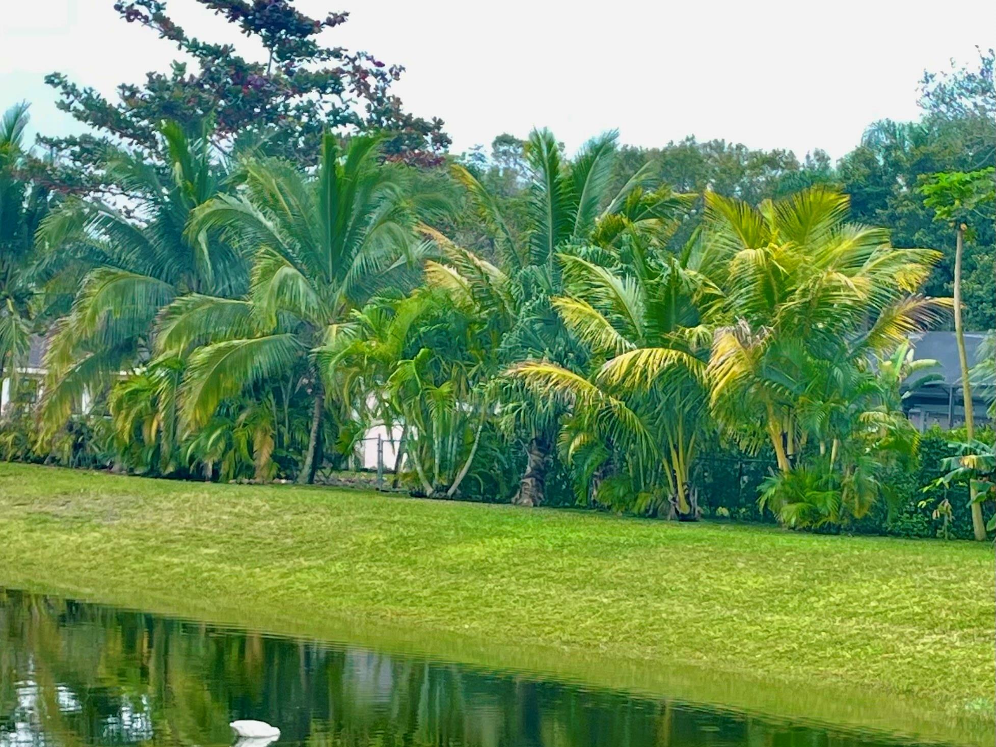 Beautifully remodeled condo with stunning lake views! This turnkey unit features a modern design, in-unit washer and dryer, and is located just minutes from shopping, the mall, and major highways. Whether you're looking for a place to call home or a smart investment property, this is a fantastic opportunity. Can be rented immediately—don't miss out!