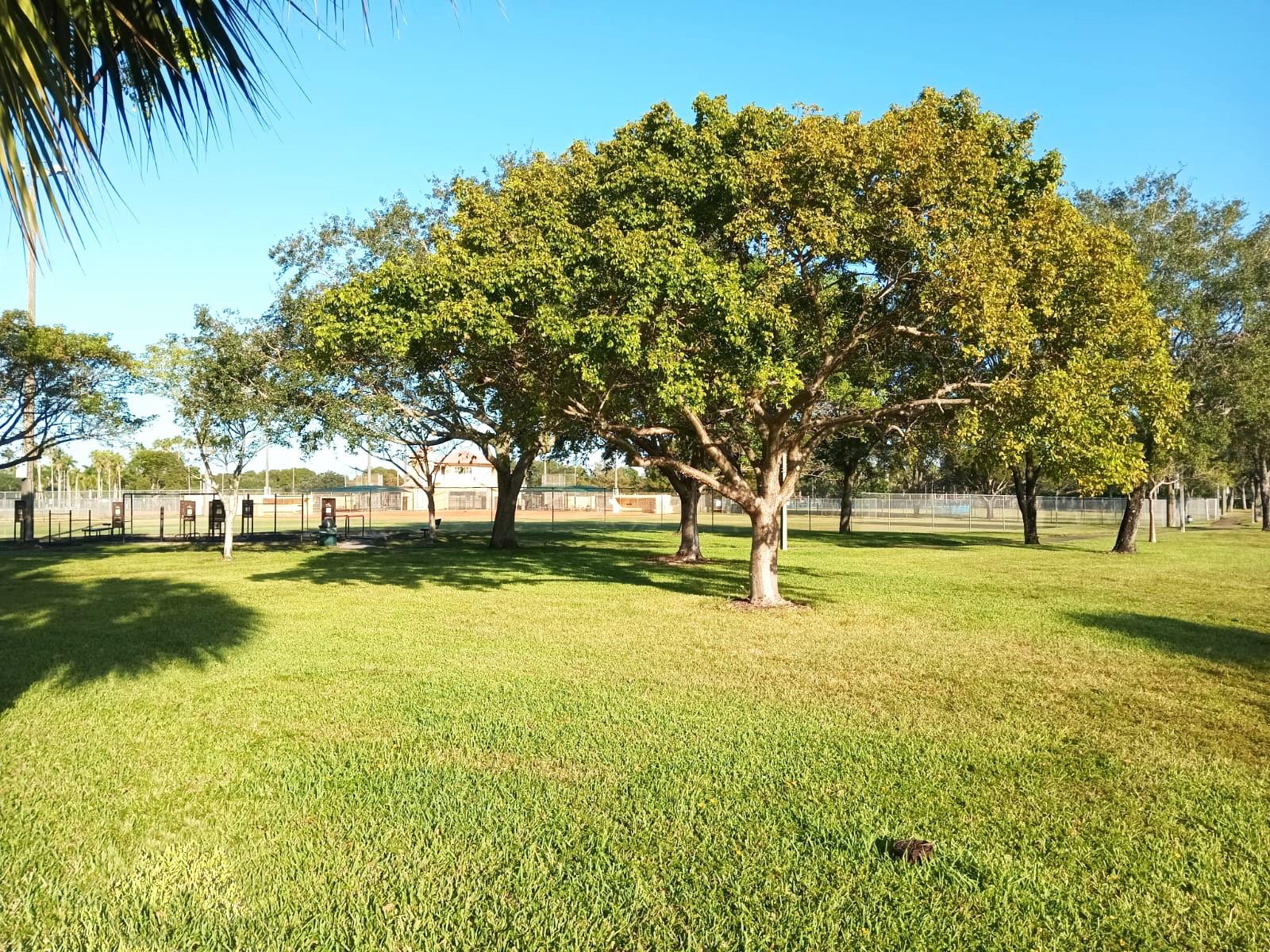 Napoli Gardens - Residential Lease