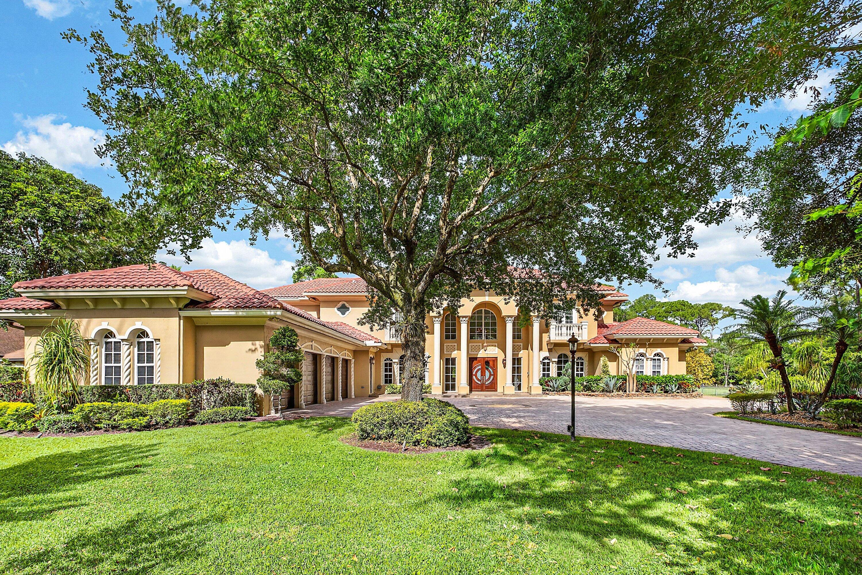 Pine Tree Estates - Residential