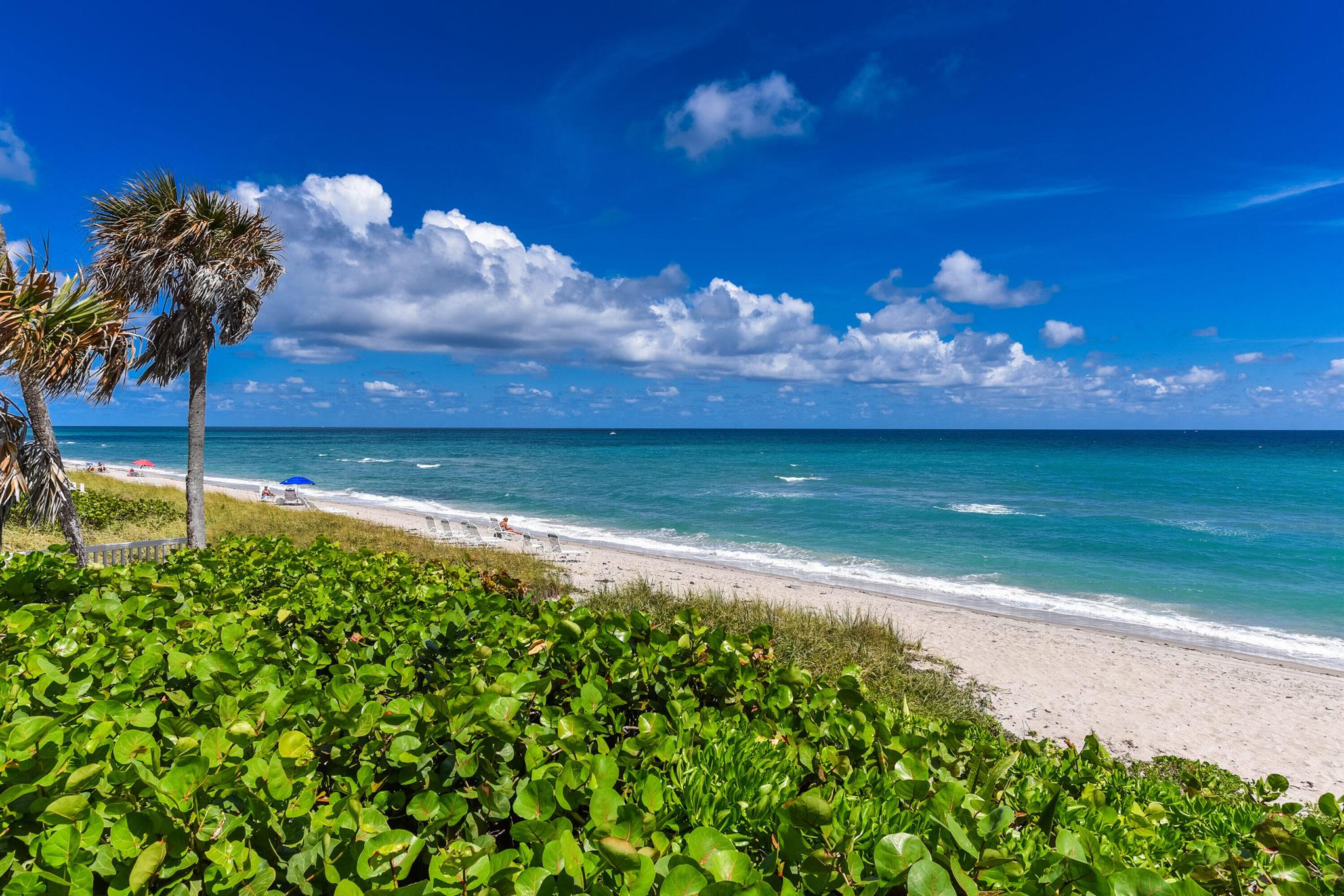 ROYAL PALM RESIDENCES CON - Residential Lease