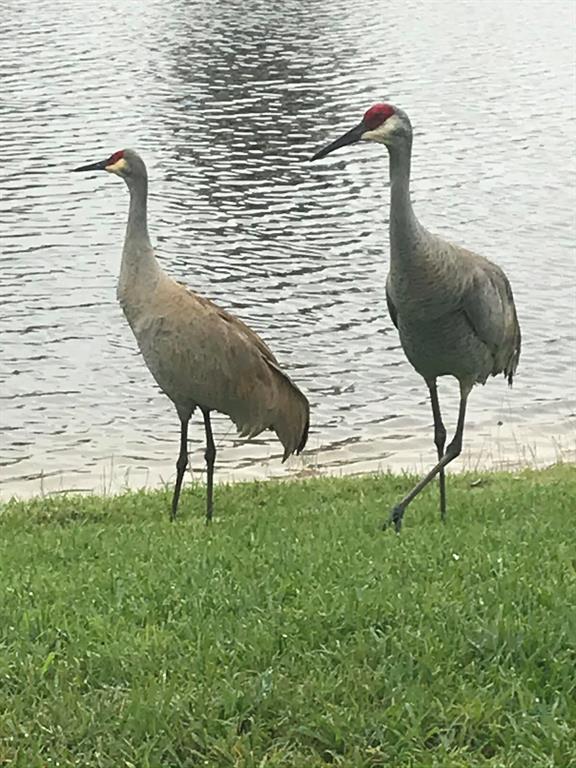 SPANISH LAKES FAIRWAYS NE PHASE - Residential