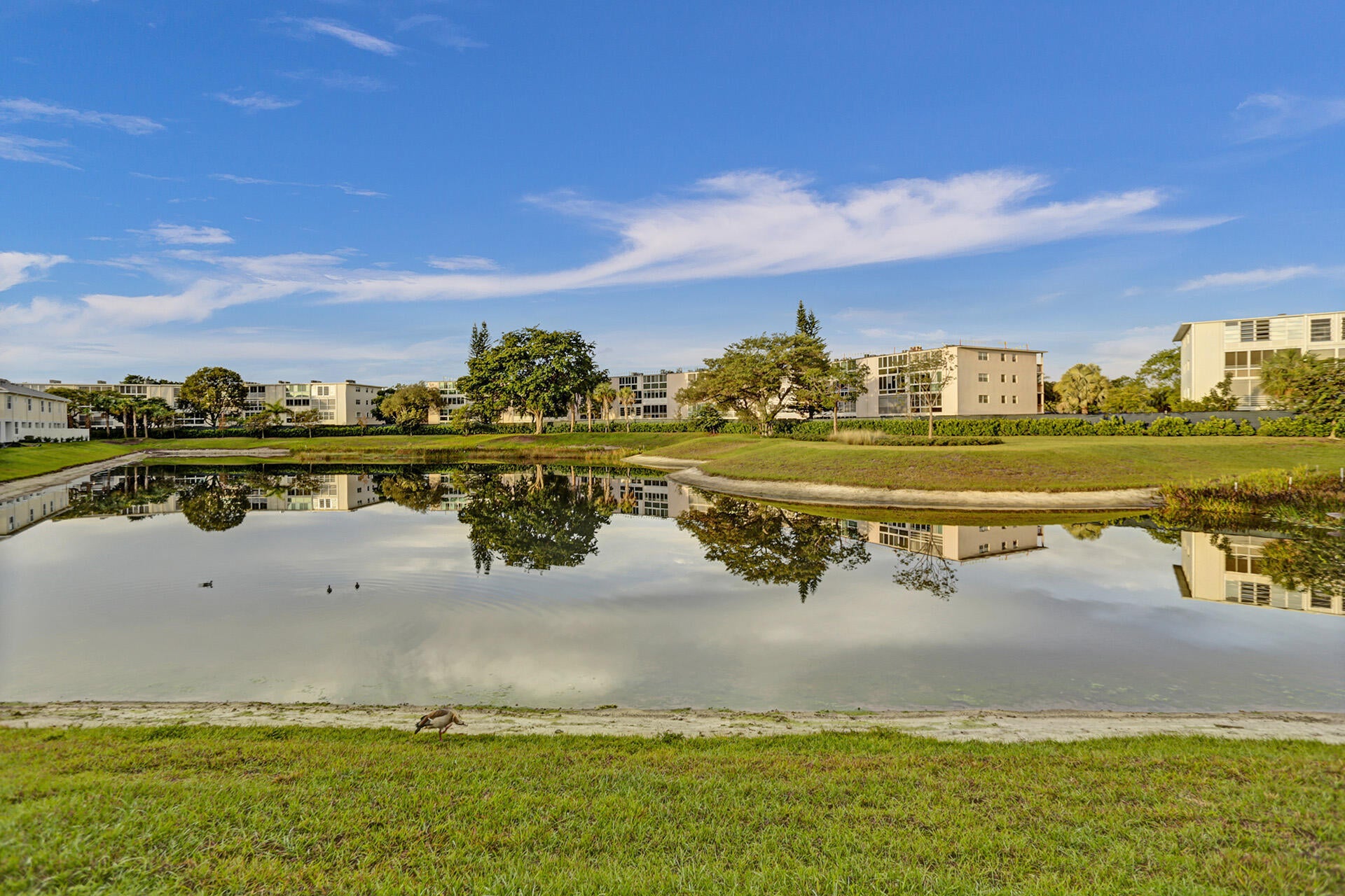 585 SANDERLING Circle