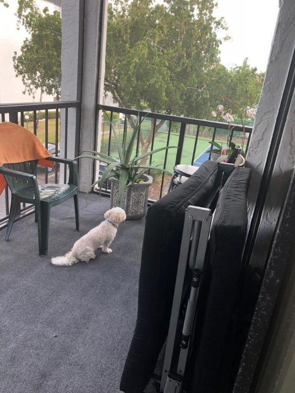 GATE #3 CONDO - Residential