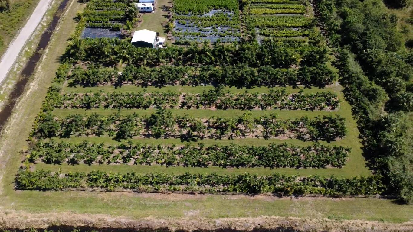 6747 W Carol Street E