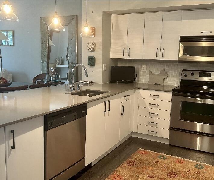250 NE 3rd Avenue 1515