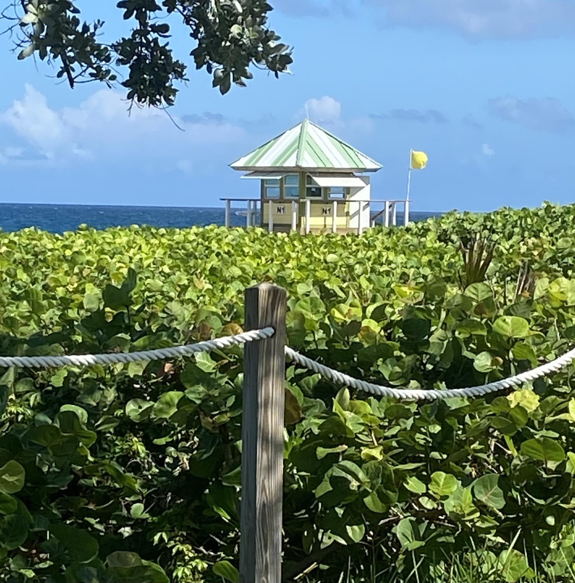 PINEAPPLE GROVE VILLAGE CONDO - Residential Lease