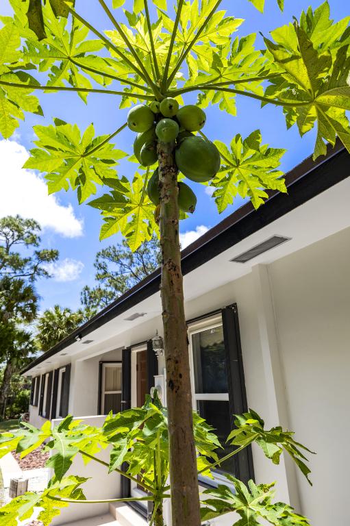 THOUSAND PINES - Residential