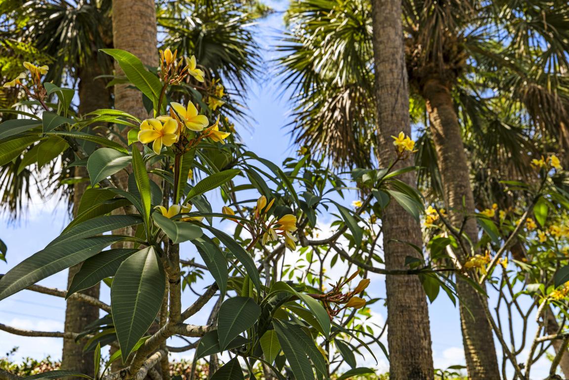 THOUSAND PINES - Residential