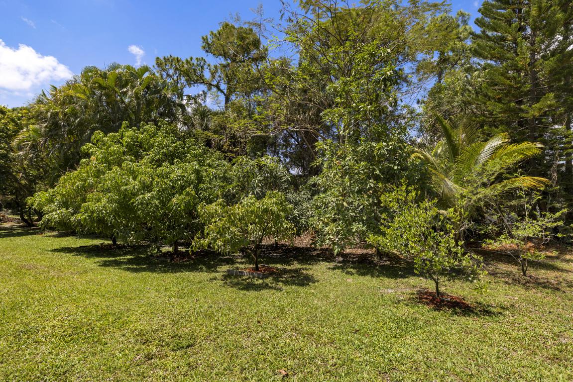 THOUSAND PINES - Residential