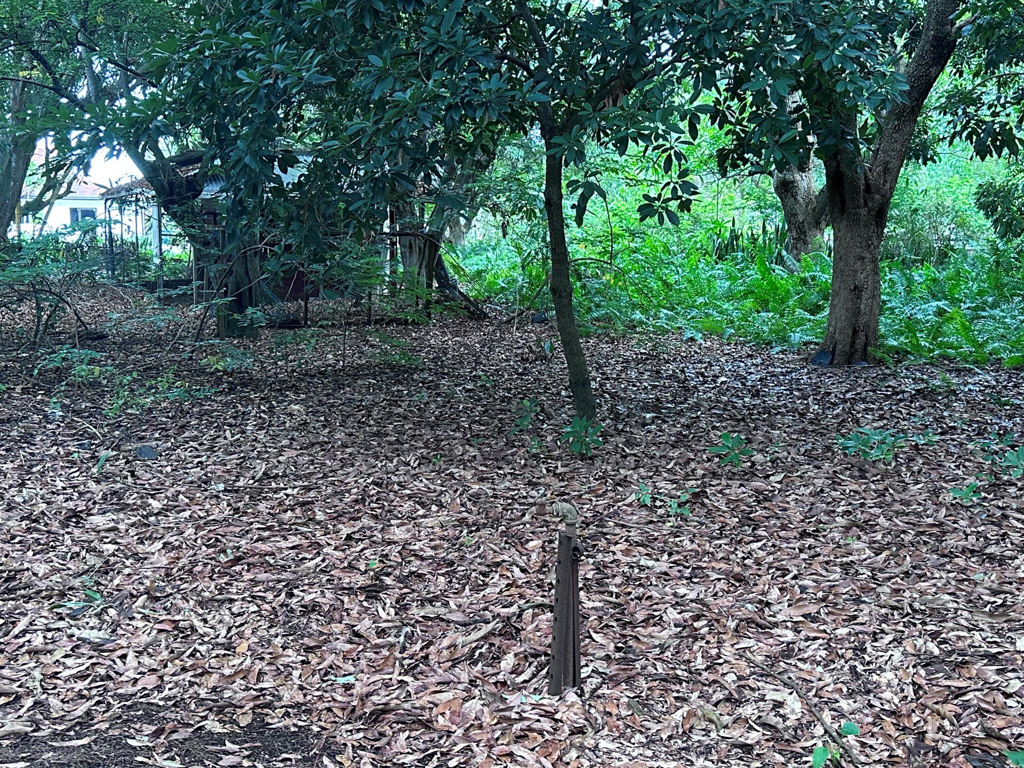 View photos, virtual tours, details... 0000 NW 7th Court