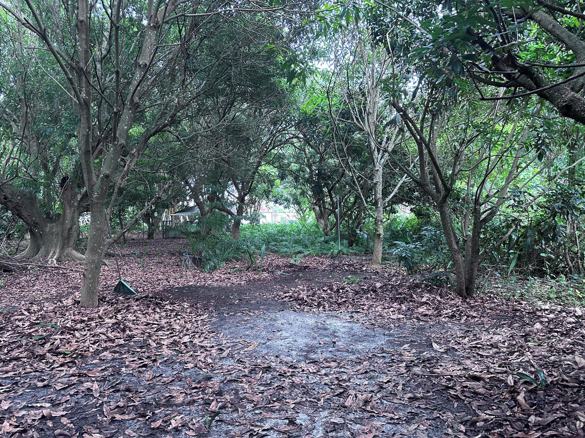 View photos, virtual tours, details... 0000 NW 7th Court