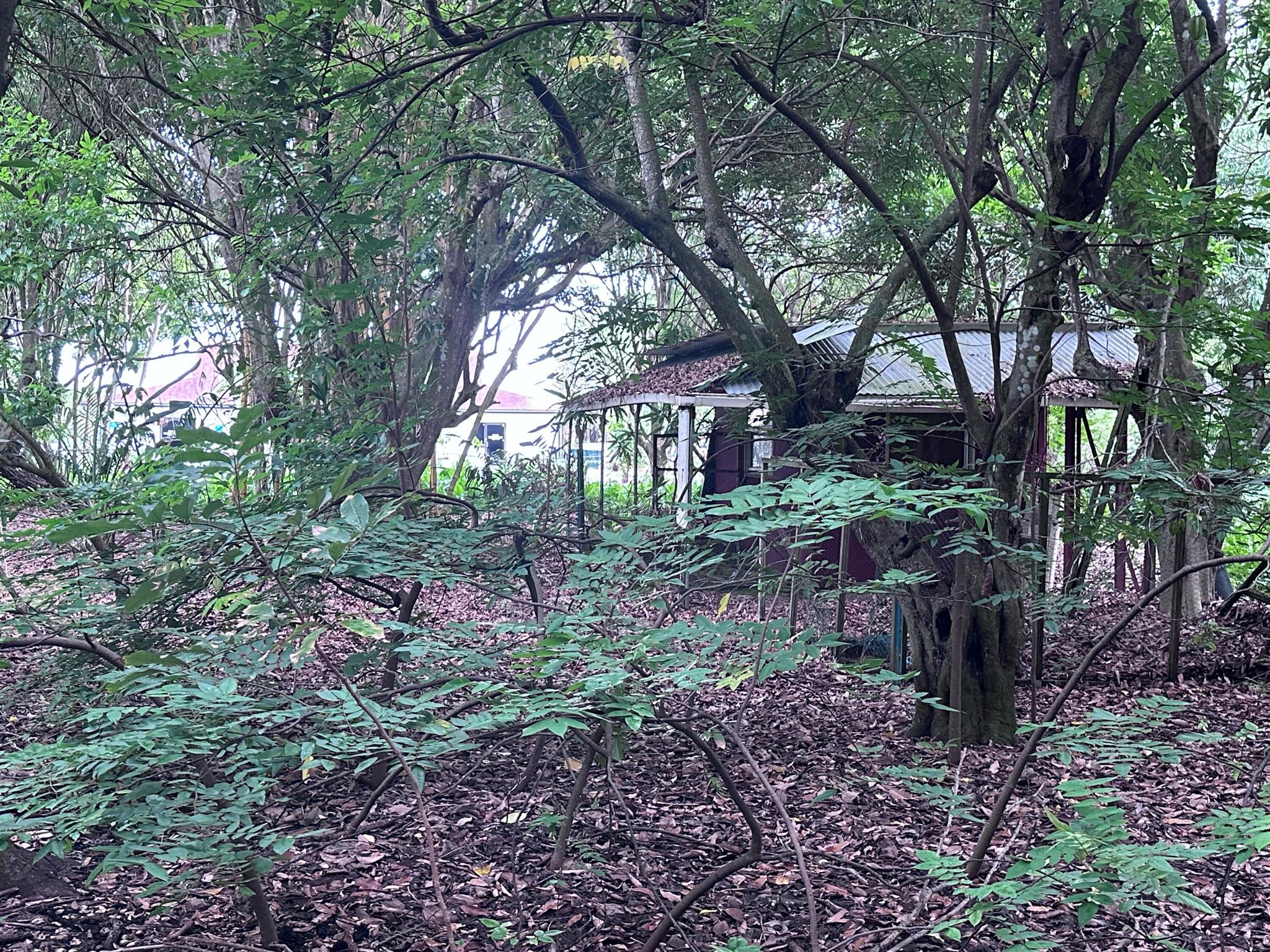 View photos, virtual tours, details... 0000 NW 7th Court