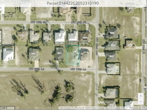 4207 NW 12th Ln Cape Coral FL 33993