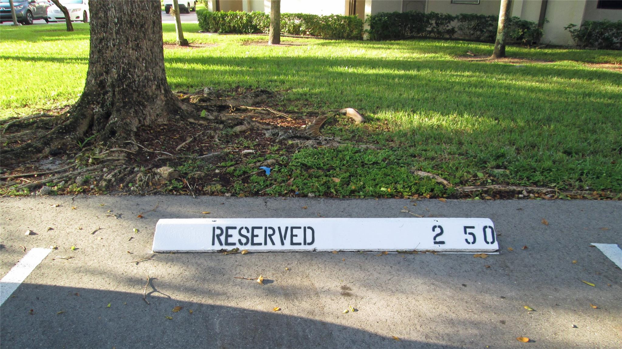 CONCORD VILLAGE - Residential