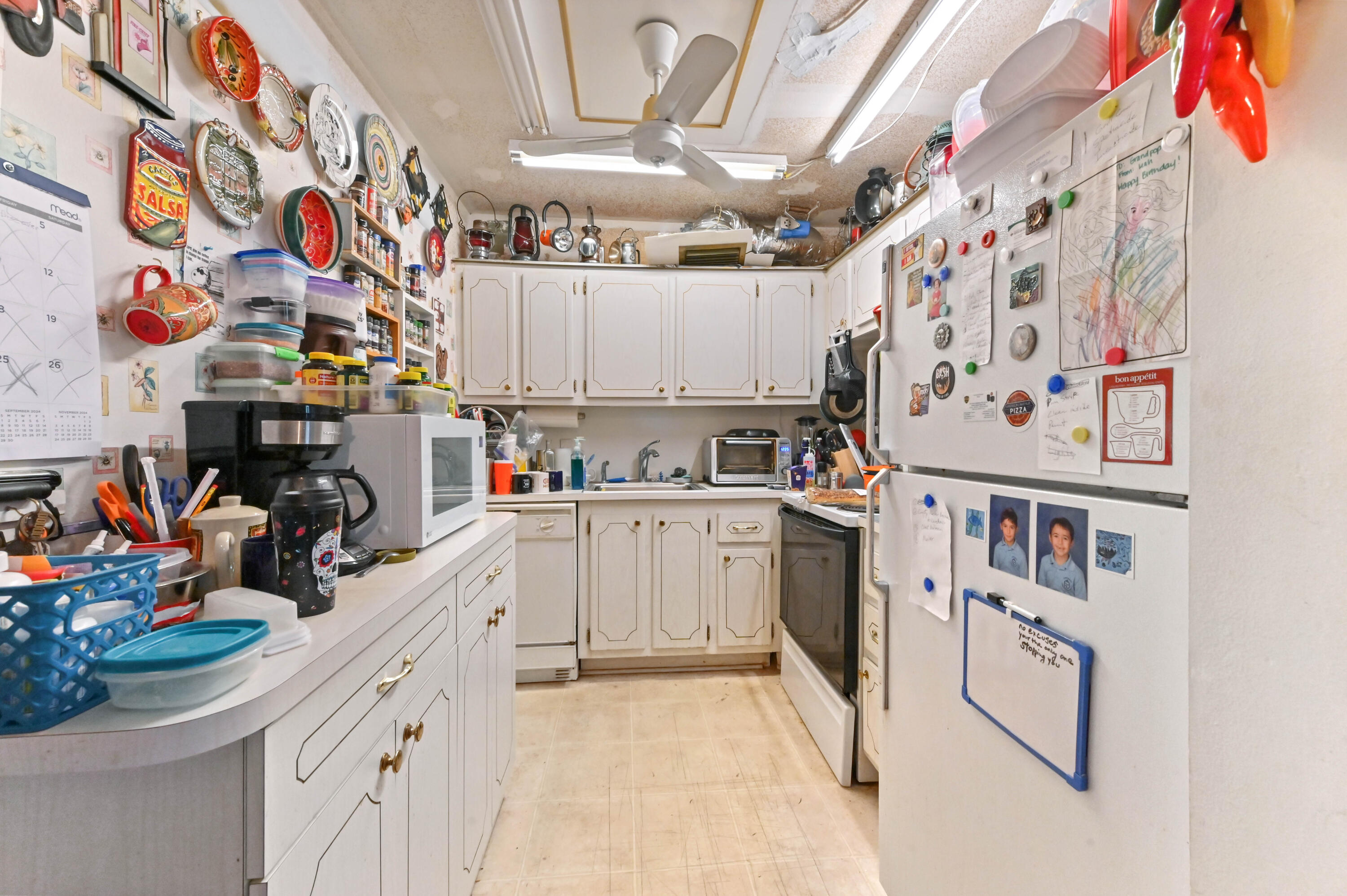 203 Ellesmere D
