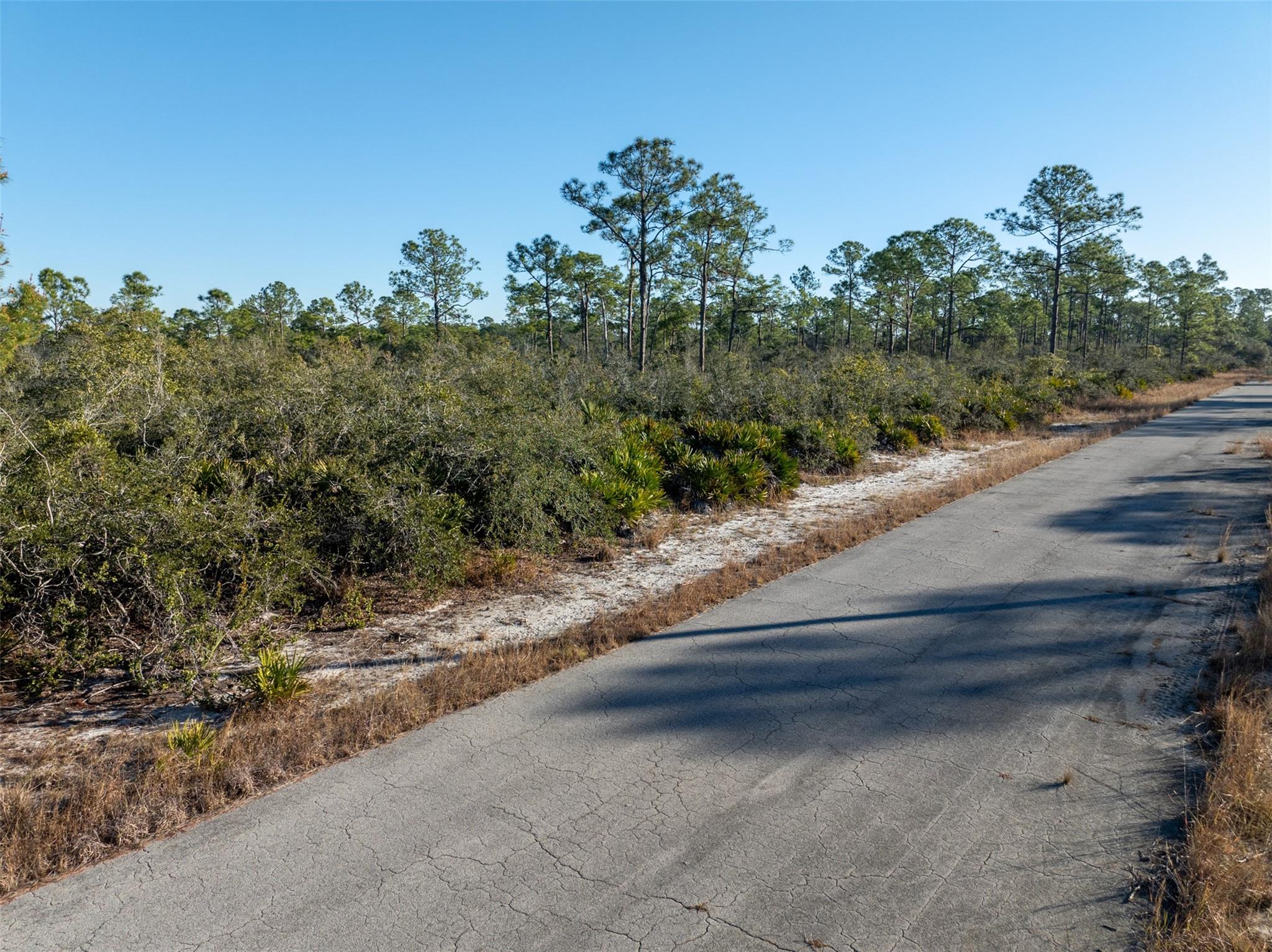 Great opportunity to build your dream home. Buildable 0.4595-acre semi-cleared lot zoned for residential on a paved street in Lake Placid, a peaceful escape in Highlands County.