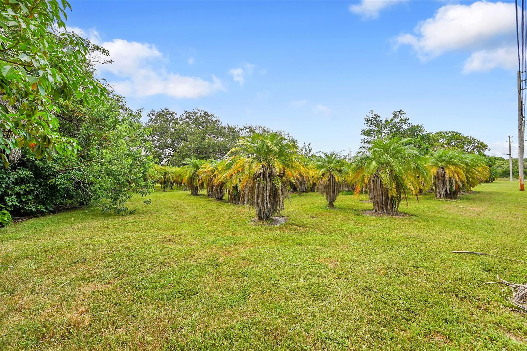 Plantation Acres - Residential