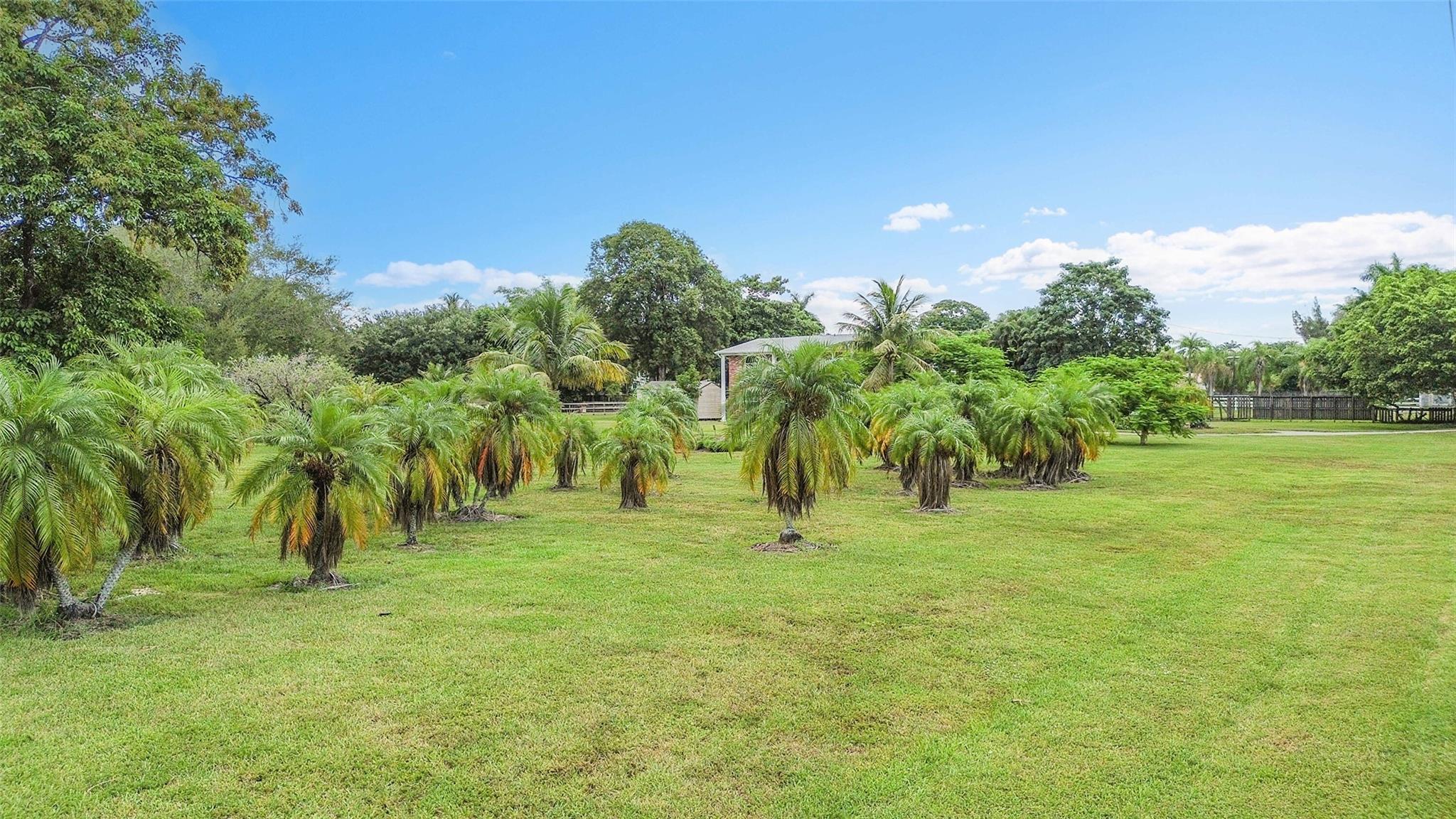 Plantation Acres - Residential