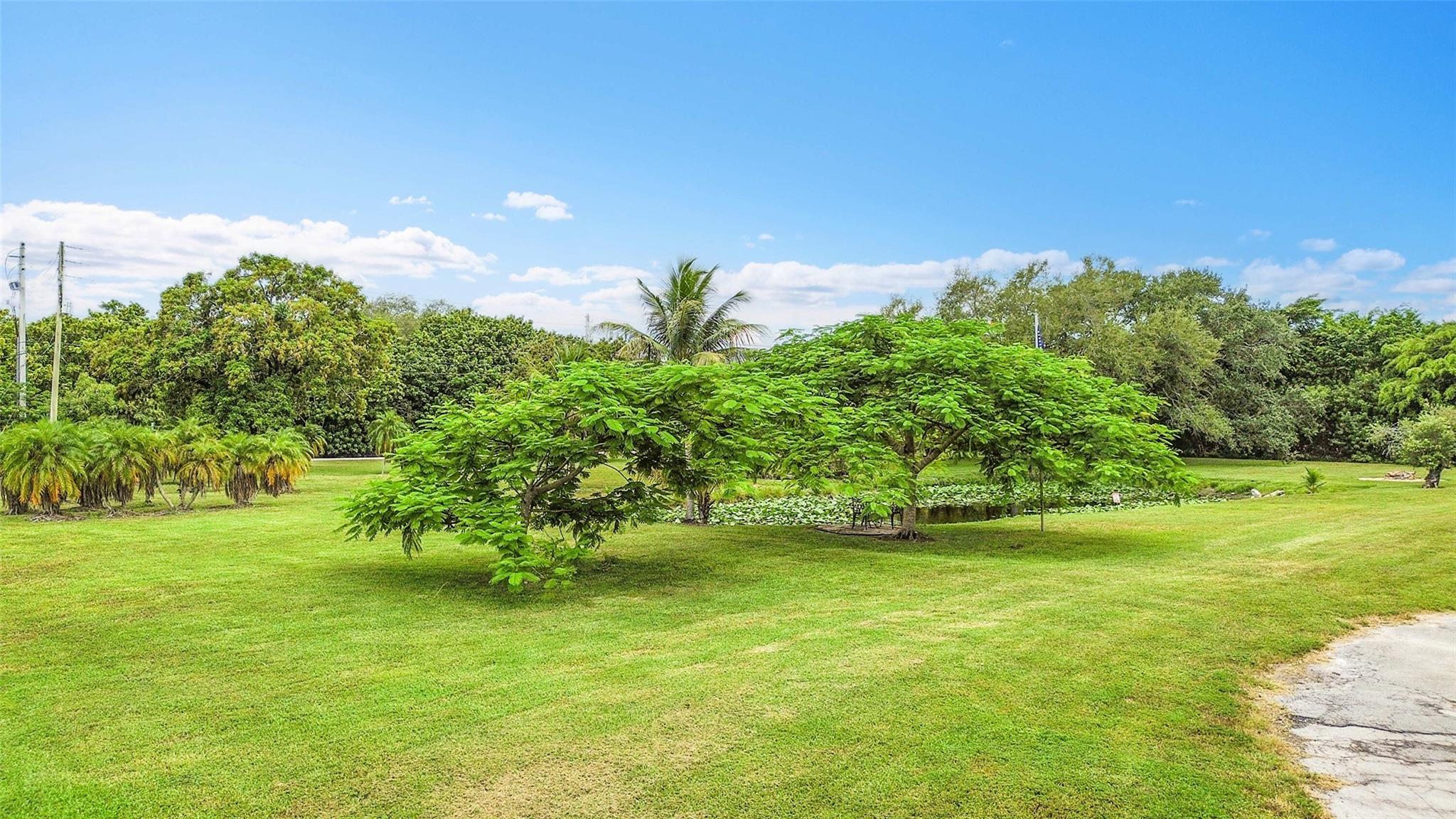Plantation Acres - Residential