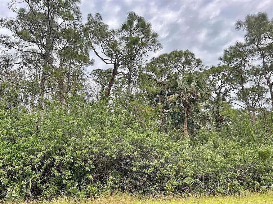 Oversized residential lot in a peaceful, growing area of Lehigh Acres -- perfect to build your dream home or invest for the future.''