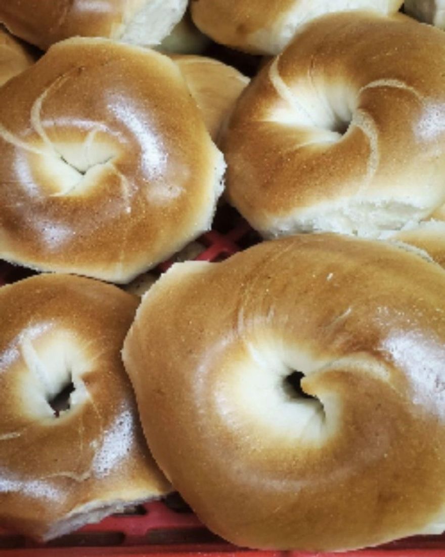 Bagel restaurant in a great Publix Shopping Center. Busy Plaza. Lots of parking. Turnkey Prime location. Call for appt.