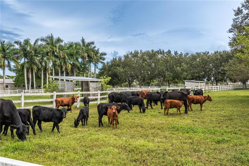 EVERGLADES SUGAR & LAND C - Residential