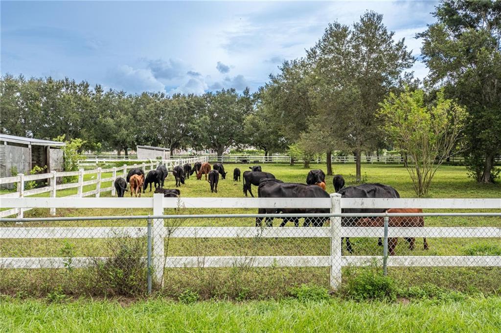 EVERGLADES SUGAR & LAND C - Residential