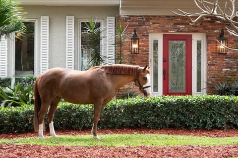 A home in Davie