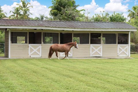 A home in Davie