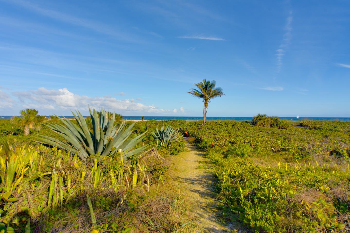 SEA ISLE EST - Residential