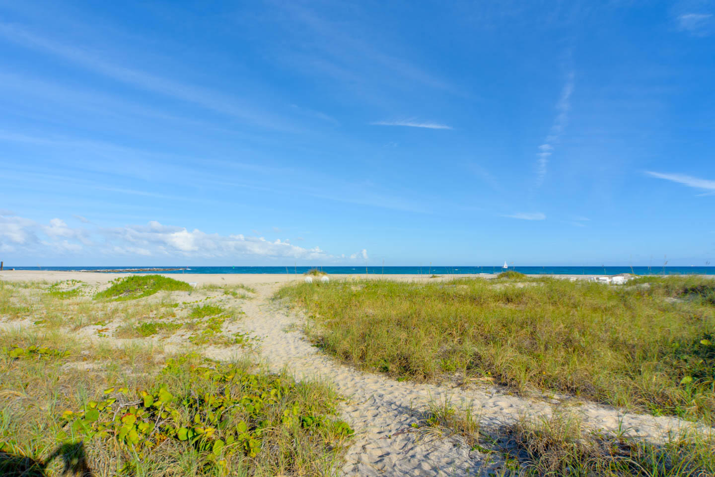 SEA ISLE EST - Residential