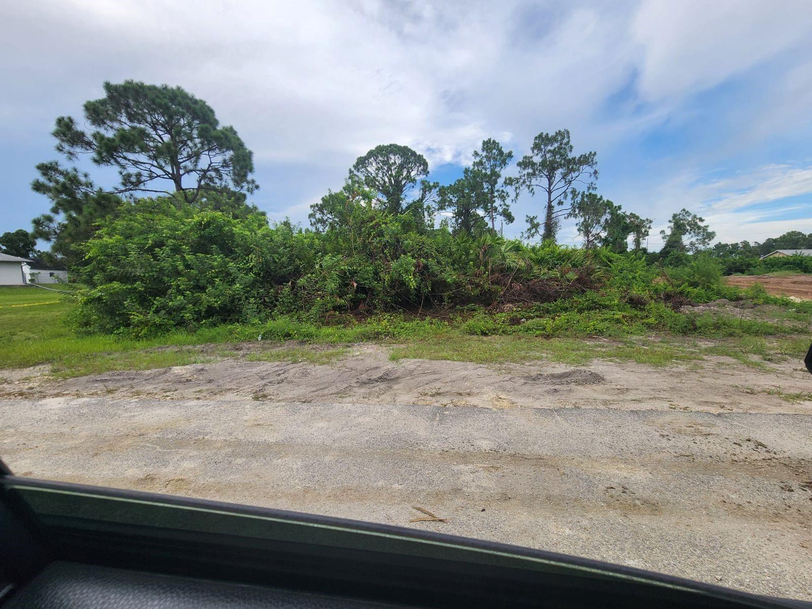 Nice .25 acre lot for sale in LEHIGH ACRES. Come build your dream home! Property survey, elevation certificate, and animal preservation are already done. PRICE IS NEGOTIABLE.